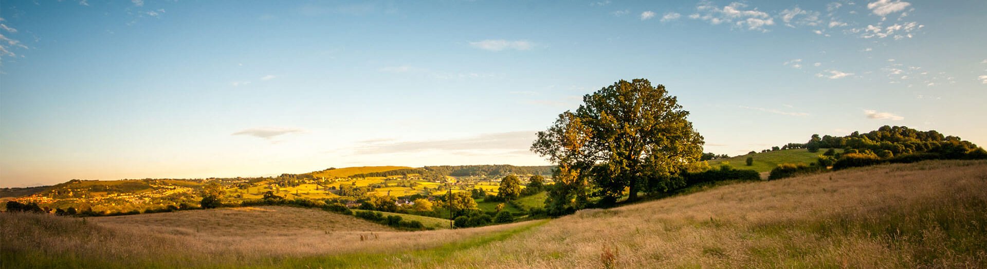 Rolling Fields